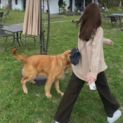 古惑狗天师